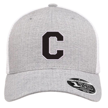 Load image into Gallery viewer, FlexFit C Mesh Back Cap

